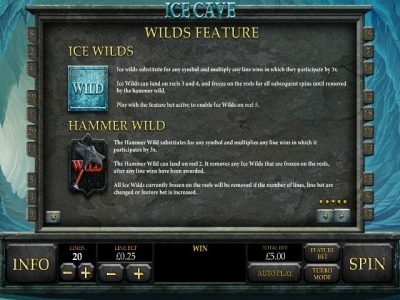 Ice-Cave-Wild-Features